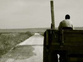 Festa del contadino Acireale 1335 0 Festa del contadino Acireale